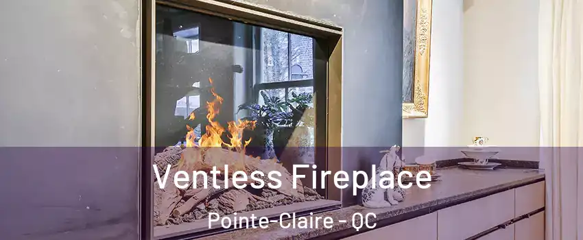  Ventless Fireplace Pointe-Claire - QC