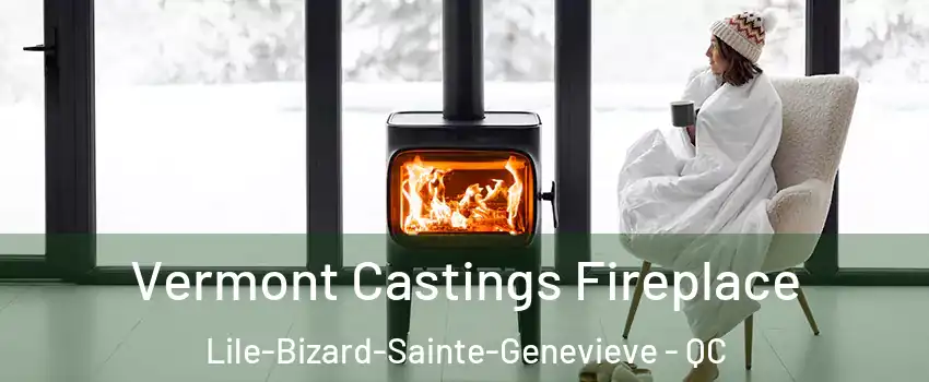  Vermont Castings Fireplace Lile-Bizard-Sainte-Genevieve - QC