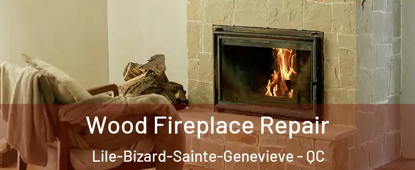  Wood Fireplace Repair Lile-Bizard-Sainte-Genevieve - QC