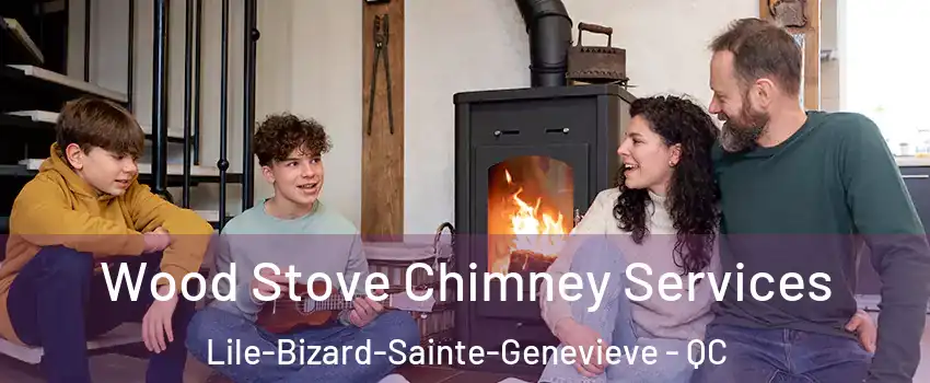  Wood Stove Chimney Services Lile-Bizard-Sainte-Genevieve - QC