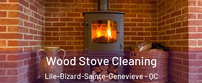  Wood Stove Cleaning Lile-Bizard-Sainte-Genevieve - QC