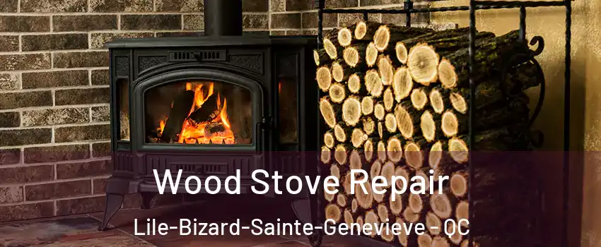  Wood Stove Repair Lile-Bizard-Sainte-Genevieve - QC